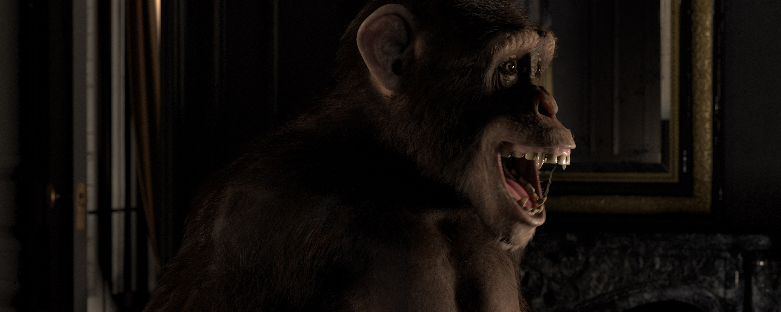 SC030_Chimp_4k_Bright_16B