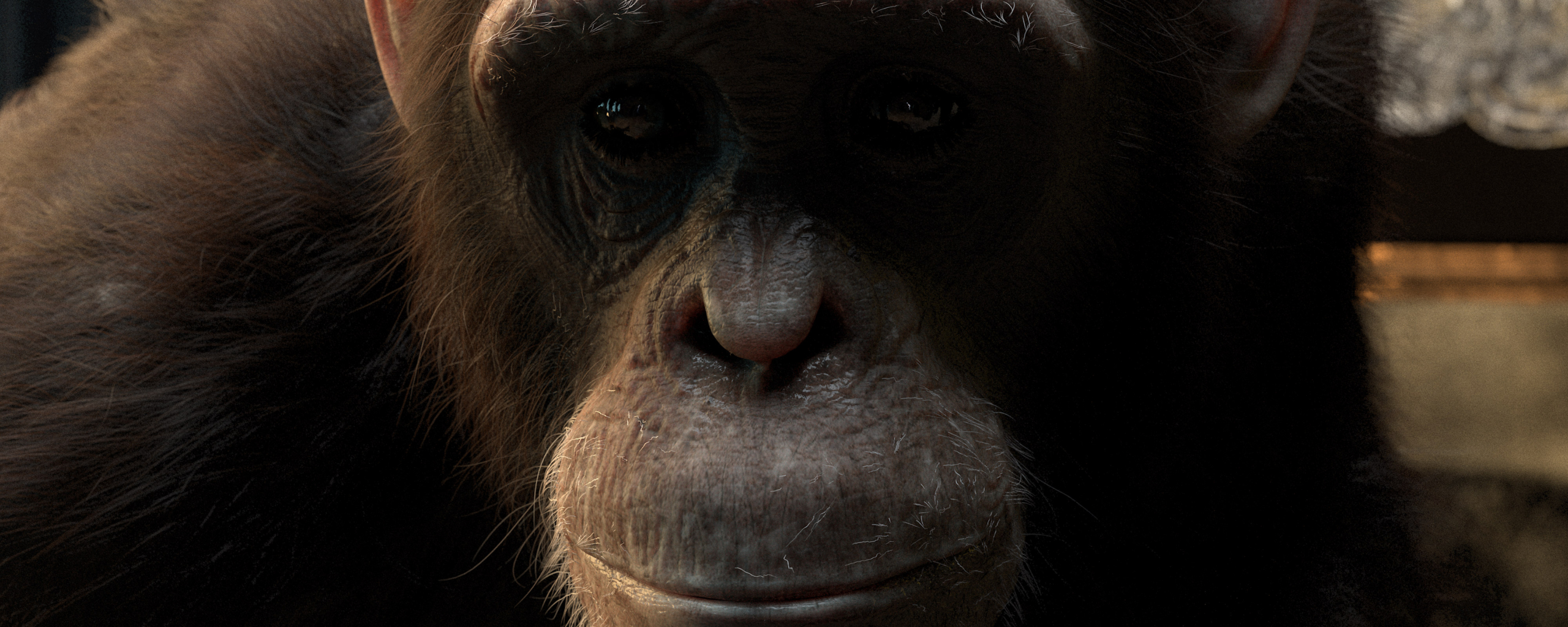 SC040_Chimp_4k_16bit